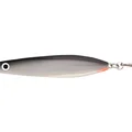 SILSilver Shiner