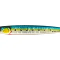 Sardine