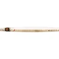 Chrome Garfish