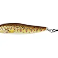 Brown Trout Fry