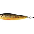 Brook Trout Fry