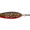 Arctic Char