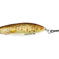 Brown Trout Fry
