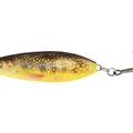 Brook Trout Fry