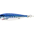 Blue Mackerel