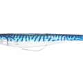 Real Mackerel