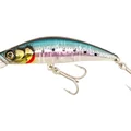 Sardine