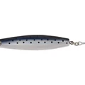 Dotted Sardine