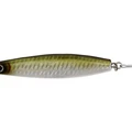 Green Sardine