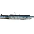 Spotted Sardine