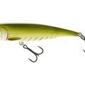 Green Minnow