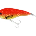 Coral Trout