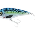 Atlantic Mackerel