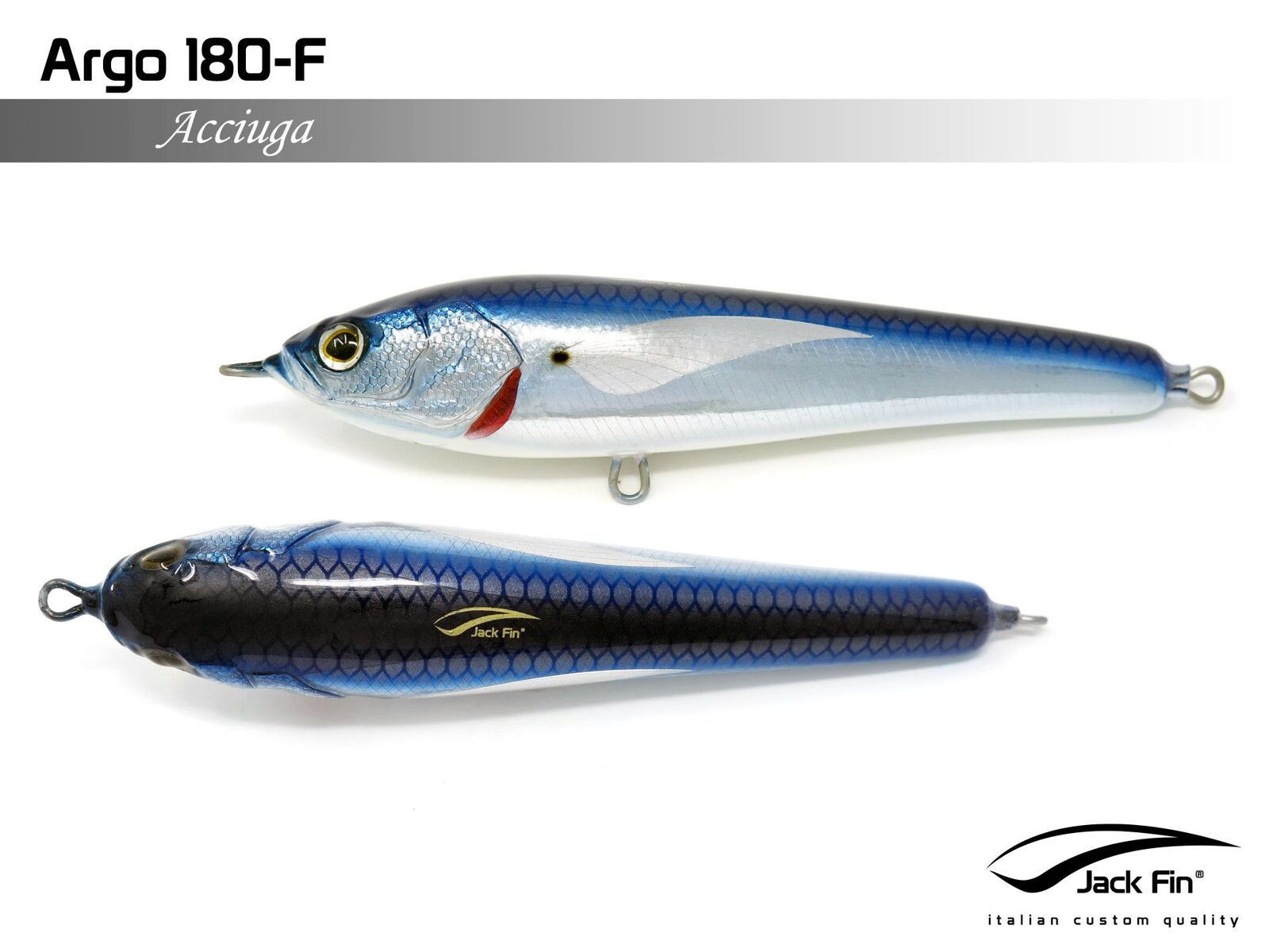 Jack Fin Argo