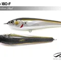 Silver Shad