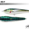 Mackerel