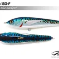 Blue Mackerel
