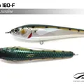 Sardine