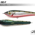 Sardine Tuna