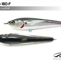 Garfish