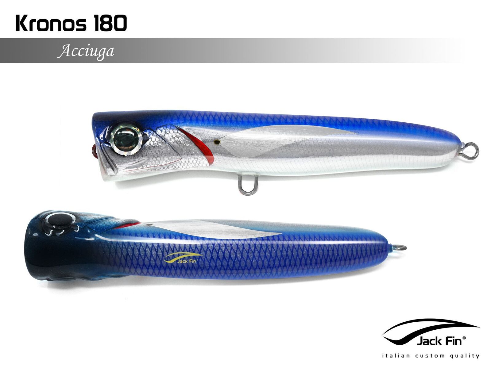 Jack Fin Kronos