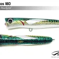 Mackerel