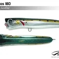 Sardine