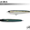 Sardine