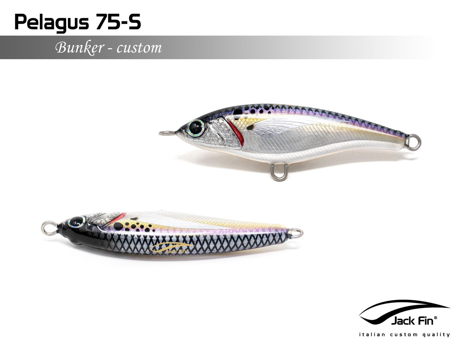 Jack Fin Pelagus