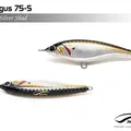 Silver Shad