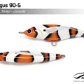 Nemo