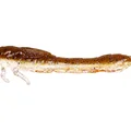 Brown Shiner