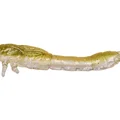 Olive Mist