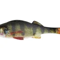 Real Perch
