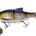 Headlight UV Roach
