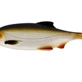 Lively Roach