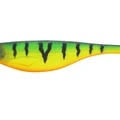 Tiger Perch