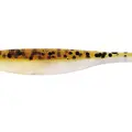 Baitfish