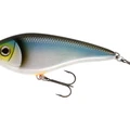 Blueback Herring