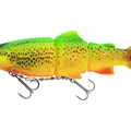 Firetiger Trout