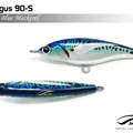 Blue Mackerel