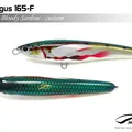Bloody Sardine