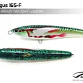 Bloody Mackerel