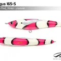 Pink Nemo