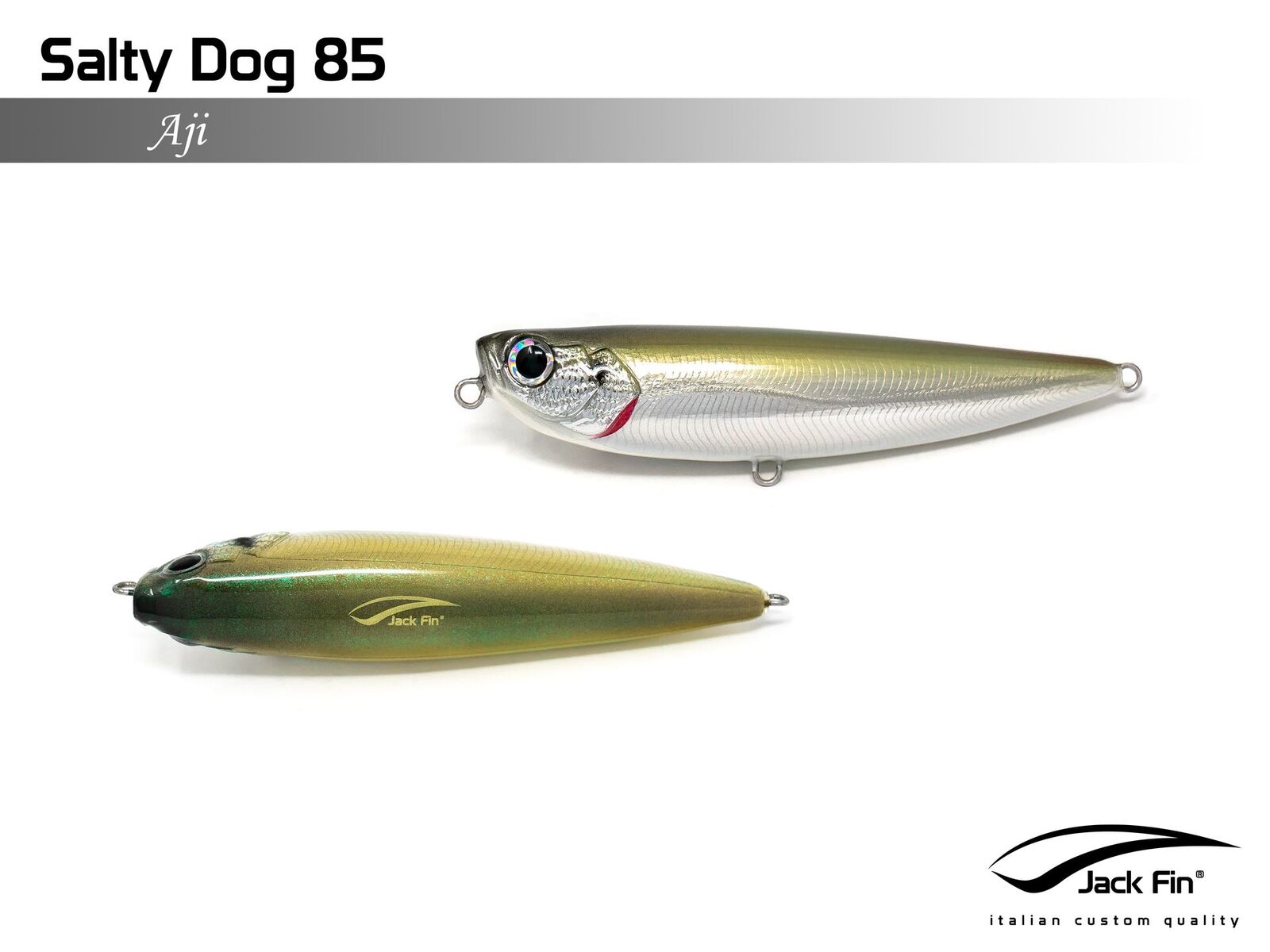 Jack Fin Salty Dog