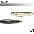 Silver Shad