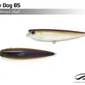 Brown Shad