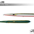 Sardine Tuna