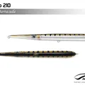 Barracuda