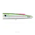 Fresh Mackerel